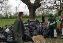 Pădurea Drăgoieni, gata să se umple, din nou, de gunoaie