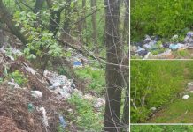 Cum își fac campanie politicienii din Gorj: Plantează flori sau strâng gunoaie