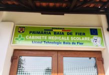 Servicii medicale gratuite pentru copiii din Baia de Fier