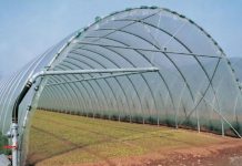 Un miliard de euro pentru creditarea tinerilor agricultori