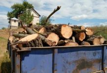 Șofer amendat cu 6.000 de lei. Ce a făcut!