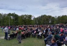 Mii de spectatori la un film în aer liber. Planul lui Toma Cuzin!