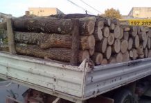 Lemne confiscate, șofer amendat
