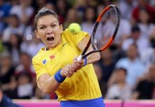 România a ratat calificarea în finala FedCup