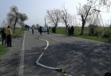 Biciclist lovit de mașină. update: A decedat