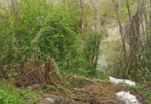 Pârâul Câlnic, pericol pentru un drum județean