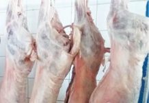 Percheziții în tot Gorjul. Miza – carnea de miel