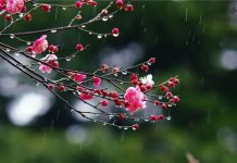 Prognoza meteo în Oltenia