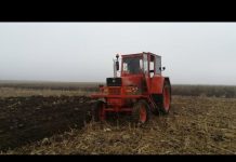 Soț și soție, bătuți de un vecin