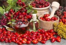 Prepară sirop de măceşe pentru tonifierea vaselor de sânge