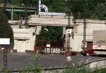 Niculae Bădălău: „Modernizăm Sadu, creăm locuri de muncă”