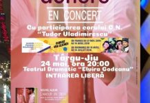 Iubitorii muzicii franceze și francofone sunt așteptați la concert, în Tg-Jiu