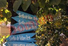 Vezi cum poți afla cu ajutorul CNP-ului care este secţia de vot arondată domiciliului tău!