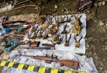 Percheziții la două persoane din Târgu Cărbunești bănuite de BRACONAJ! Ce au găsit polițiștii acasă la cei doi!
