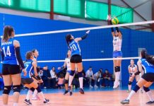 CSM va angaja trei experţi sportivi, pentru volei, handbal şi baschet