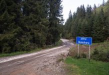 Licitația pentru DN 66A, la sfârșitul lunii