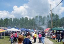 Curse speciale pentru Sărbătoarea Narciselor