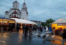 Artiștii care vor concerta la Zilele Municipiului Motru, aleși prin sondaj