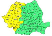 COD GALBEN DE PLOI in Judetul Gorj