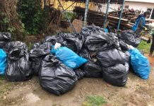 Ecologizare de Ziua Muncii