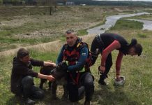 Câine prins de două zile sub un torent, salvat