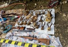 FOTO: Percheziții la Licurici