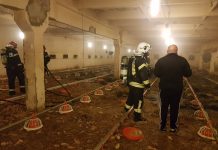 FOTO: 16.000 de pui de o zi au murit într-un incendiu izbucnit la o hală
