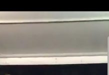 Olguța Berbec și Remus Novac LIVE de pe INSULIȚĂ!