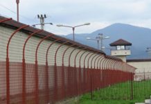 Hoț din Gorj, prins la Baia Mare