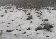 Pietre și zăpadă multă pe Transalpina