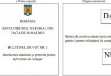 Vezi cum vor arăta buletinele de vot de la Referendumul din 26 mai