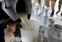 Centru de prelucrare a laptelui din Stănești, închis de inspectorii sanitar-veterinari