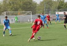 Pandurii, fără gol și doar un punct cu Luceafărul