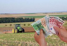 Sume importante de bani acordate fermierilor. Vezi ce condiţii trebuie îndeplinite