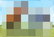 Foto de colecție: Sorin Boza și primarul Ion Popescu, la un concurs al celor mai puternici cai