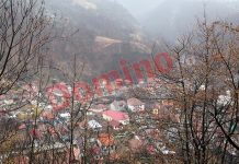 Administratorul unei societăți comerciale din Padeș SANCȚIONAT!