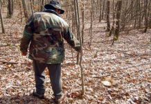 Pădurarii PRIVAȚI de la Bustuchin fac împăduriri la Grădiștea! Pe 1,3 milioane de lei!