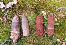 Proiectile din Primul Război Mondial, găsite în Gorj