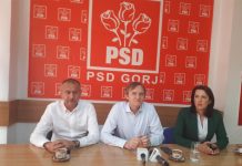 Weber: Trebuie să ne întoarcem la muncă și să le demonstrăm și gorjenilor care nu ne-au votat, că PSD este cea mai bună alegere pentru România