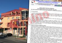 Ce conține regulamentul de acordare a voucherelor pentru salariații CEO?