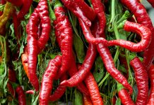 Îmbunătăţirea circulaţiei sanguine: alimente care ajută