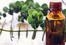 5 uleiuri cu efect antibiotic