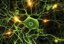 Ziua mondială a sclerozei multiple