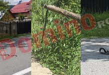 Invazie de șerpi în satele Roșiuța și Ploștina! Târâtoarele au peste un metru și jumătate