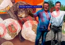 Prima sentință pentru cei doi bărbați din Turceni, tată și fiu, judecați pentru trafic de droguri