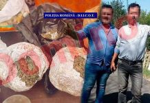 Primul termen în dosarul celor doi bărbați din Turceni, tată și fiu, judecați pentru trafic de droguri