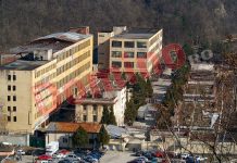 Angajat al UM Sadu MUȘCAT de VIPERĂ în depozitul de armament!