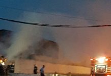 FOTO. A luat foc Coleusul!