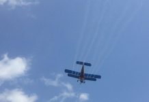 Dezinsecții împotriva țânțarilor până în luna august