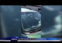 AU FURAT BALIZELE DE PE MARGINEA DRUMULUI